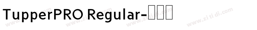 TupperPRO Regular字体转换